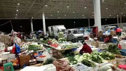 樂(lè)清市新地標(biāo)落成 占地58畝農(nóng)副產(chǎn)品批發(fā)市場(chǎng)12日盛大開業(yè)