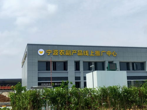 寧波農(nóng)副產(chǎn)品物流中心一期試運(yùn)營(yíng)開(kāi)啟 農(nóng)產(chǎn)品流通新樞紐，便捷交通指南助您暢行